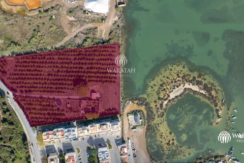 Farm i Tavira, Faro, Tavira - € 2.500.000 | Ref: QuintaRiaFormos - foto 12
